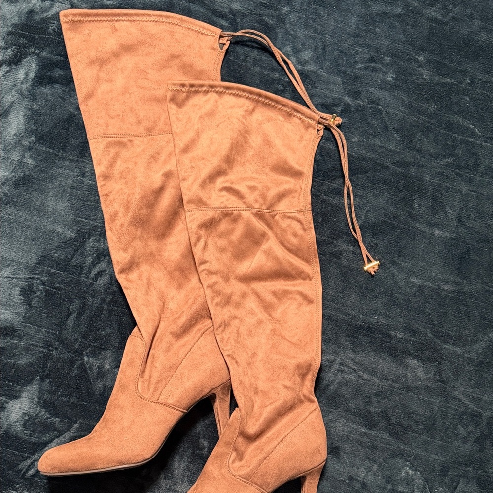 Rialto Women’s Over-the-Knee Suede Boots - Light Brown